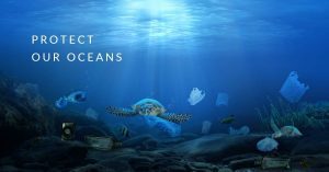 Why is Marine Conservation Important